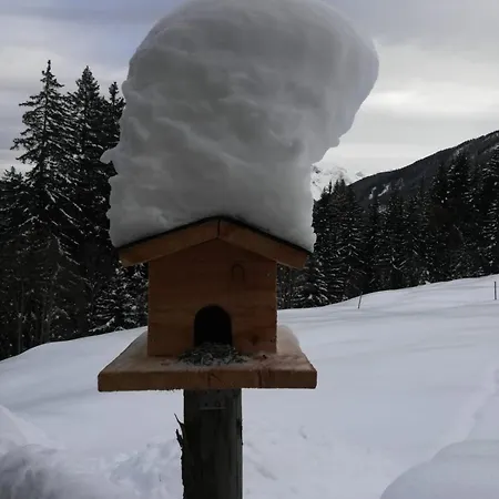 Appartement Haus Spiss Flirsch